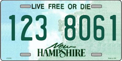 NH license plate 1238061