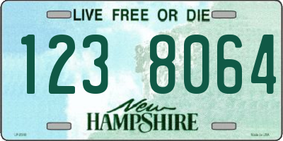 NH license plate 1238064