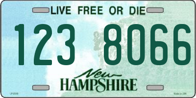 NH license plate 1238066