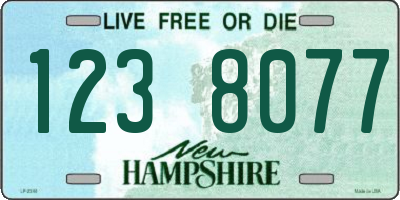 NH license plate 1238077