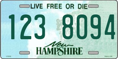 NH license plate 1238094