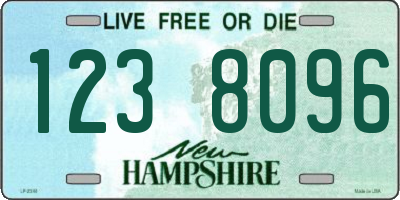 NH license plate 1238096