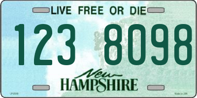 NH license plate 1238098