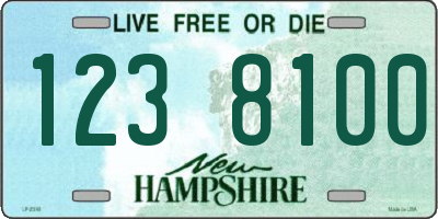 NH license plate 1238100