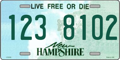 NH license plate 1238102