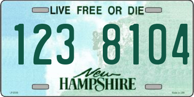 NH license plate 1238104