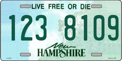 NH license plate 1238109