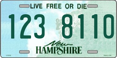 NH license plate 1238110