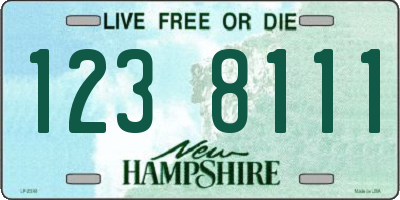 NH license plate 1238111
