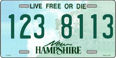 NH license plate 1238113