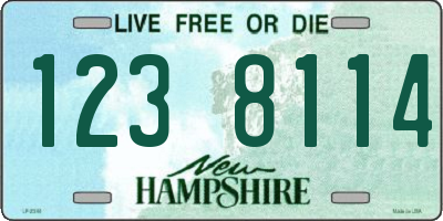 NH license plate 1238114