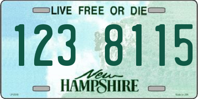 NH license plate 1238115