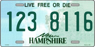 NH license plate 1238116