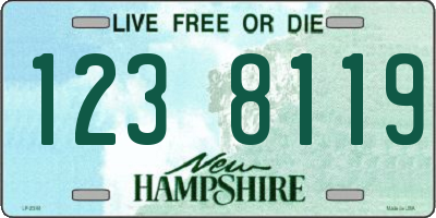 NH license plate 1238119
