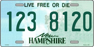 NH license plate 1238120