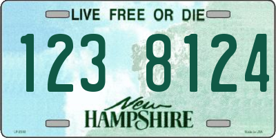 NH license plate 1238124