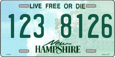 NH license plate 1238126