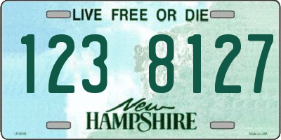 NH license plate 1238127