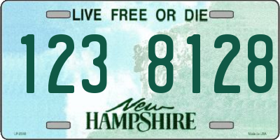 NH license plate 1238128