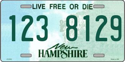 NH license plate 1238129