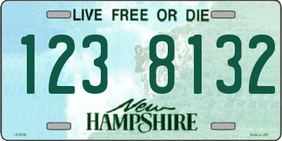 NH license plate 1238132