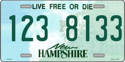 NH license plate 1238133