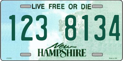 NH license plate 1238134