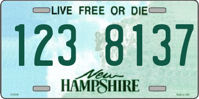 NH license plate 1238137