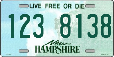 NH license plate 1238138