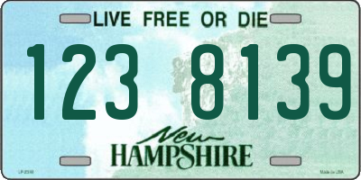 NH license plate 1238139