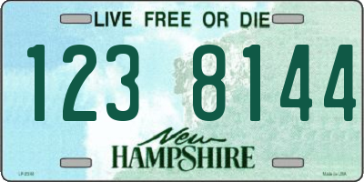 NH license plate 1238144