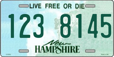 NH license plate 1238145