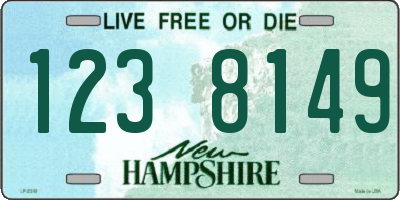 NH license plate 1238149