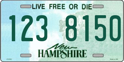 NH license plate 1238150