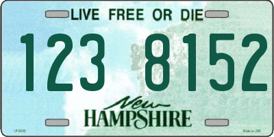 NH license plate 1238152