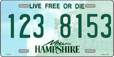 NH license plate 1238153