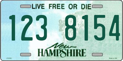 NH license plate 1238154