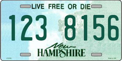 NH license plate 1238156