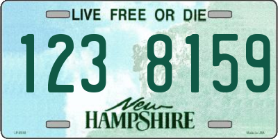 NH license plate 1238159