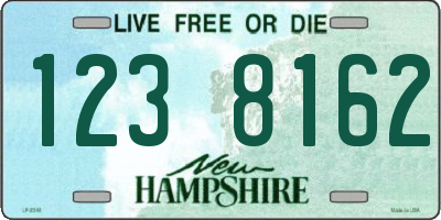 NH license plate 1238162