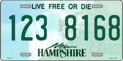 NH license plate 1238168
