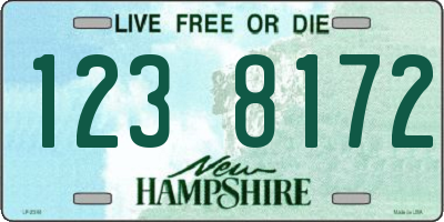 NH license plate 1238172