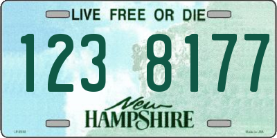 NH license plate 1238177