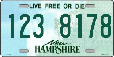 NH license plate 1238178