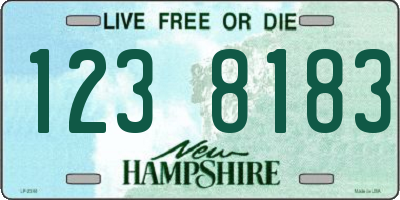 NH license plate 1238183