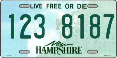 NH license plate 1238187