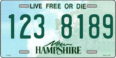 NH license plate 1238189