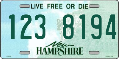 NH license plate 1238194