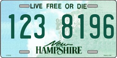 NH license plate 1238196