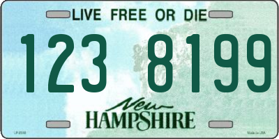 NH license plate 1238199